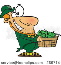 Cartoon Leprechaun Holding out a Basket of St Patricks Day Shamrocks by Toonaday