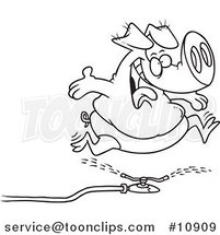 Cartoon Black and White Line Drawing of a Pig Running Through a Sprinkler by Toonaday