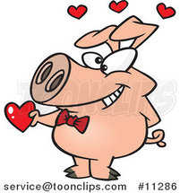 Cartoon Valentine Pig Giving a Heart by Toonaday