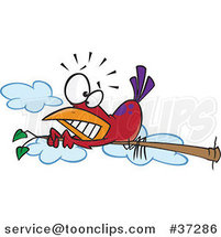 Cartoon Red Bird Scared of Heights Hugging a Tree Branch by Toonaday