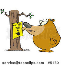 Cartoon Bear Staring at a You Are Here Sign by Toonaday