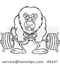Cartoon Black and White Line Drawing of a Lion Weightlifting by Toonaday