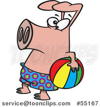 Cartoon Summer Pig Holding a Beach Ball by Toonaday