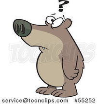 Cartoon Confused Bear with a Question Mark by Toonaday