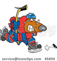 Cartoon Bear Hockey Player by Toonaday