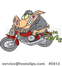 Cartoon Biker Pig by Toonaday