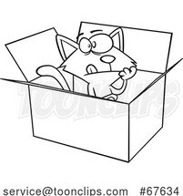 Cartoon Outline Schrodingers Cat in a Box by Toonaday