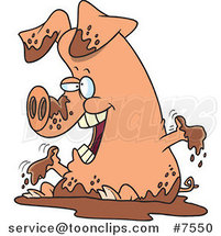Cartoon Pig Playing in Mud by Toonaday