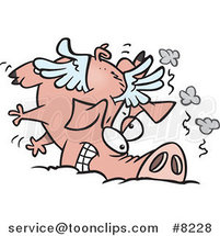 Cartoon Winged Pig Crashing by Toonaday